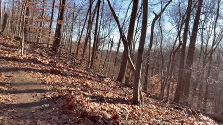 30 deg F today but the sun still felt great on my naked body in the woods. I wonder