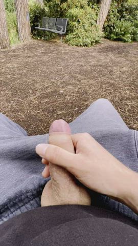 big dick caught cock masturbating outdoor public solo r/caughtpublic gif