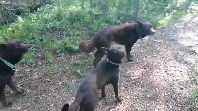 Wait For It...