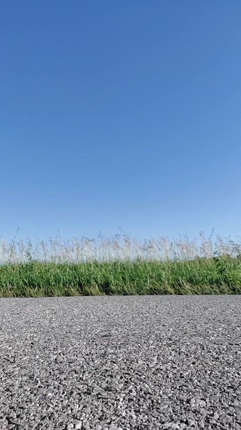 Quick roadside piss 