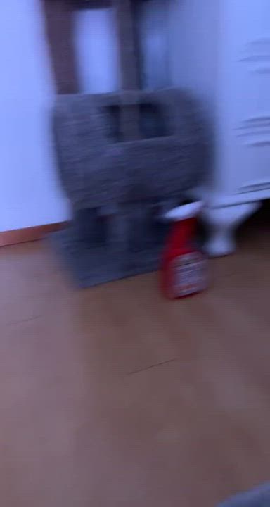 (Sound ON) Just received a great Christmas gift from my cat ^^, she sounds and looks