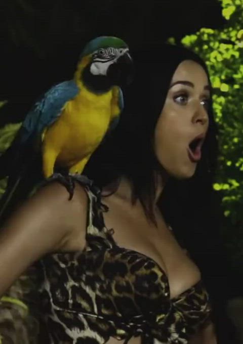 katy perry cleavage sexy gif