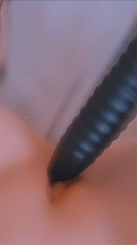 dildo pussy toy gif