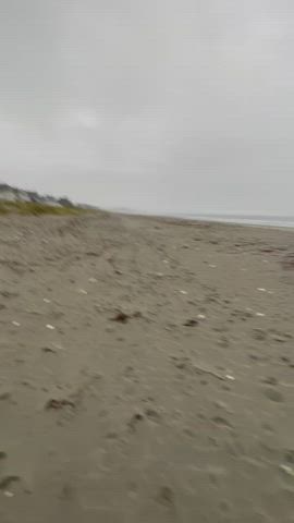 beach doggystyle public gif