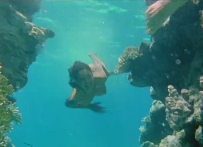 Phoebe Cates swimming underwater