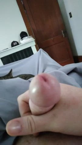 cum cumshot jerk off masturbating tribute gif