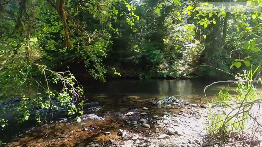 Cassandra sucks and fucks in nature