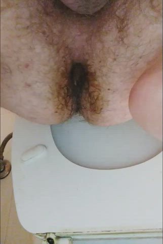 asshole bathroom toilet gif