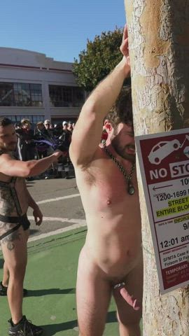 bdsm cute gay public gif