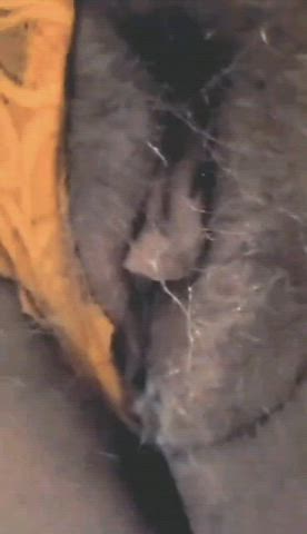chubby creampie hairy pussy gif