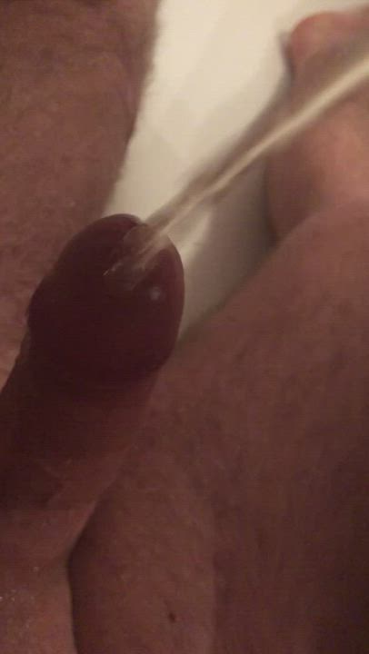 Big Dick Piss Pissing Pussy Pussy Lips gif