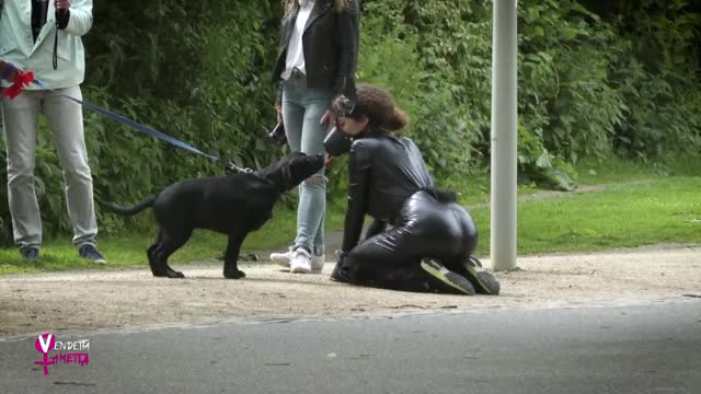 Doggy-Challenge im Stadtpark - Vendetta Lametta - YouTube