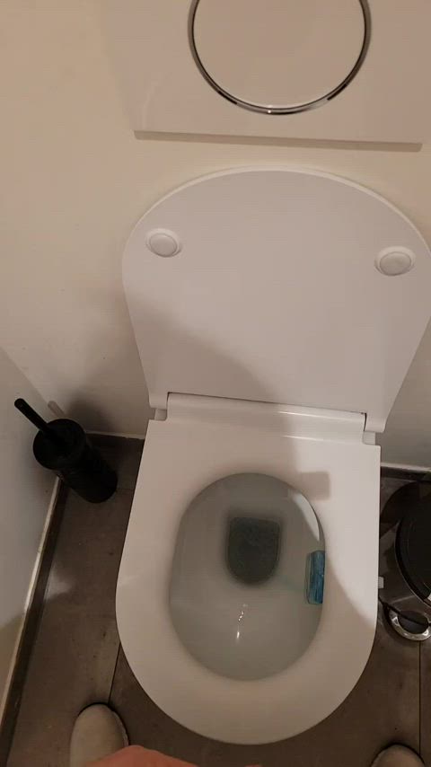 Piss Pissing Pee Peeing Watersports Wet and Messy Toilet Porn GIF by goldenjuicefagx