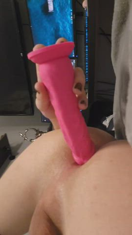 anal ass pussy sissy gif