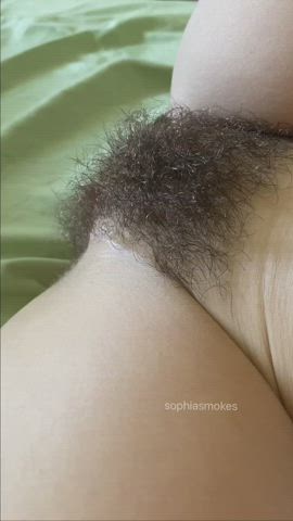 hairy hairy pussy wet pussy grool hairy-pussy gif