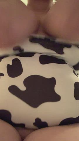 Gotta keep the cows bred ?