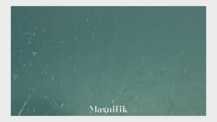 danish model underwater gif