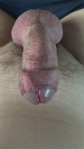 Pulsating throbbing uncut bull cock!