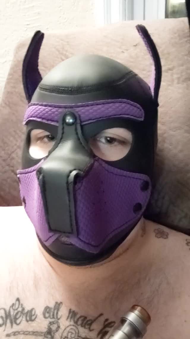 Bad pup ;)