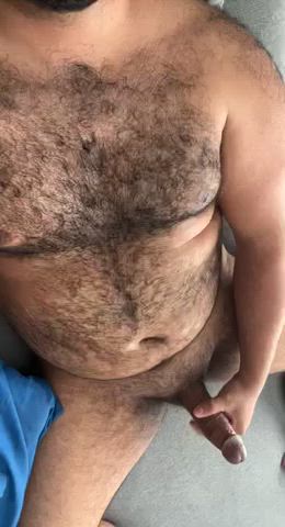 bear big dick gay hairy italian jerk off nsfw puerto rican gif