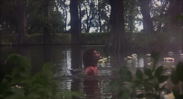 Adrienne Barbeau - Swamp Thing