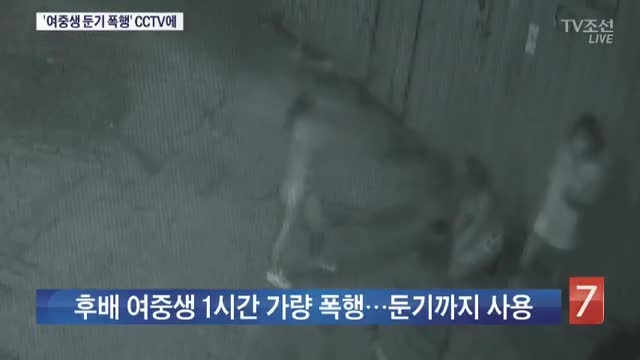 후배 여중생 둔기로 폭행…CCTV에 잡혀