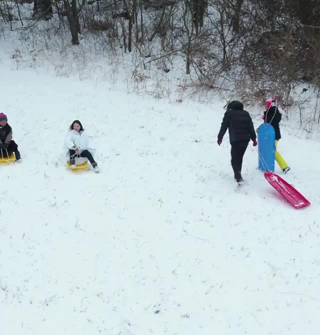 sled3