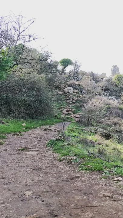 Walking in the mountains near my home