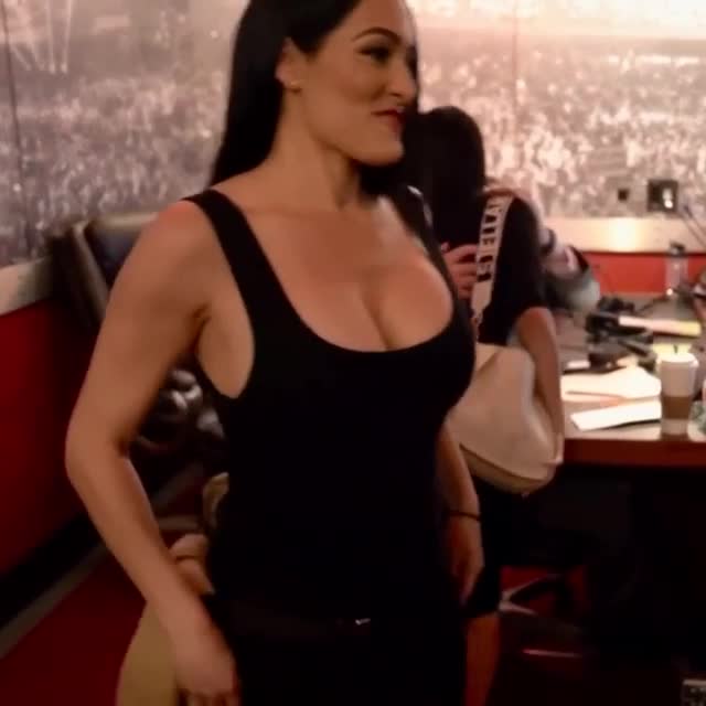 The Bella Twins