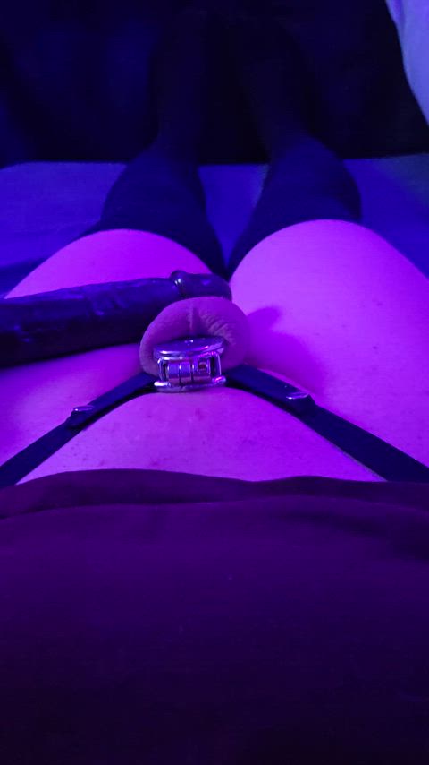 bbc chastity chastity belt femboy sissy microchastity gif