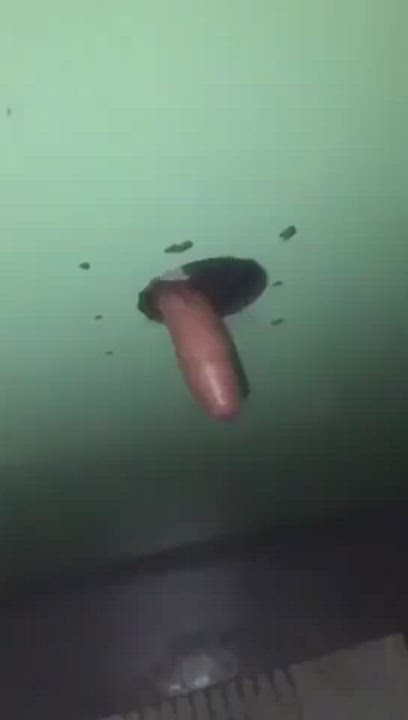 Cock Freeuse Funny Porn Glory Hole r/NSFWFunny gif