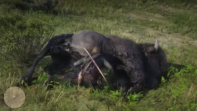 Red Dead Redemption 2 - Hunting A Bison With Charles Mission (PS4 PRO)