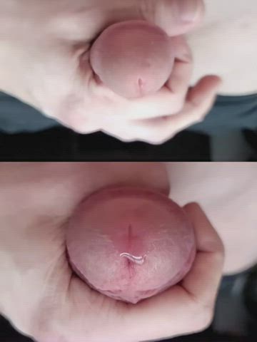 male masturbation precum solo cock gif