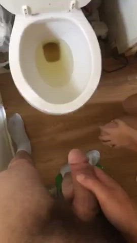 Actually drinking piss straight from the toilet bowl