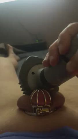 Chastity Clit Cock Orgasm Sissy Vibrator gif