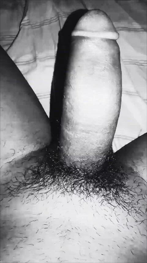 big dick cumshot pubic hair gif