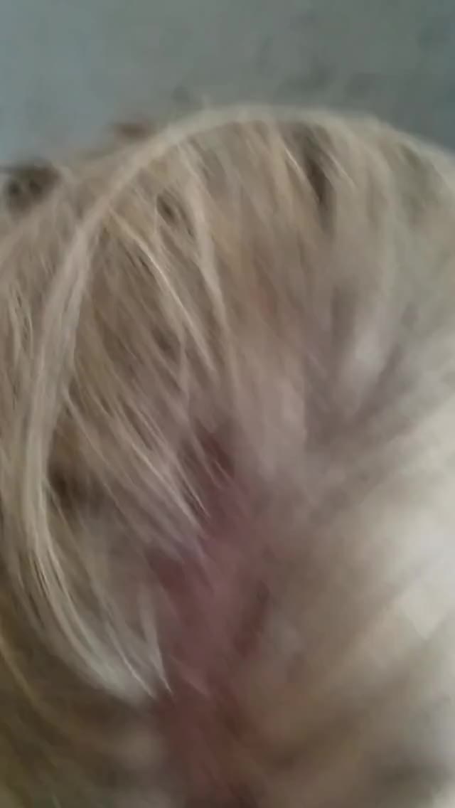 Bull sent this video of my wife gagging on his cock.