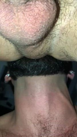 ass big ass gape gay pussy rimjob rimming trimmed gif