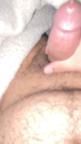 gay hairy hairy cock jerk off gif