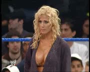 torrie wilson