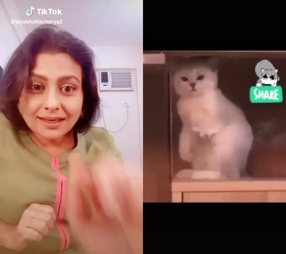  #duet with @user97508087 #firsttime #animallover #cutekitty #loveyou kitty