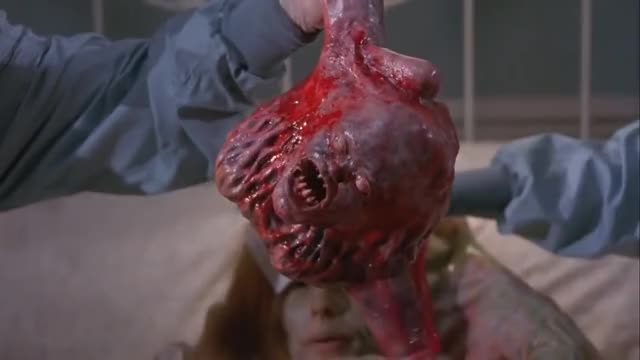 Basket Case 3 1991