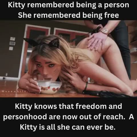 petplay submissive r/catgirls gif