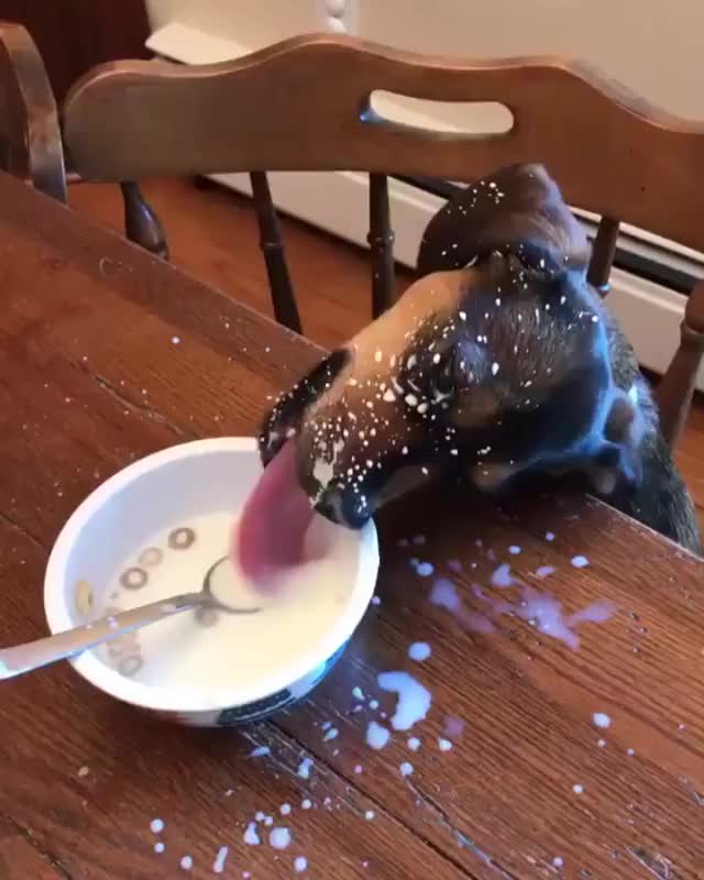 When you are a messy eater
