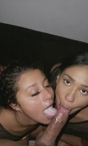 babe babes bubble butt latina pretty sucking thick cock tight pussy wet pussy gif