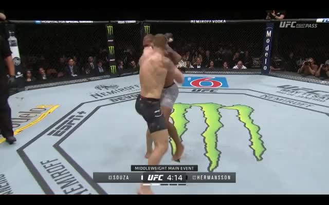 Hermansson |Jacare| Weathers pressure -> TD off low kick