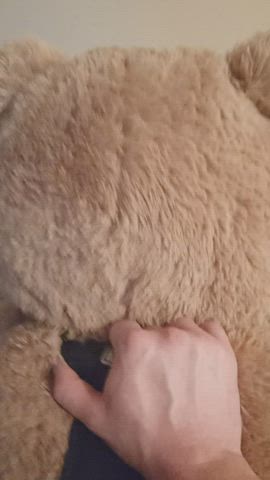 bear sex toy gif