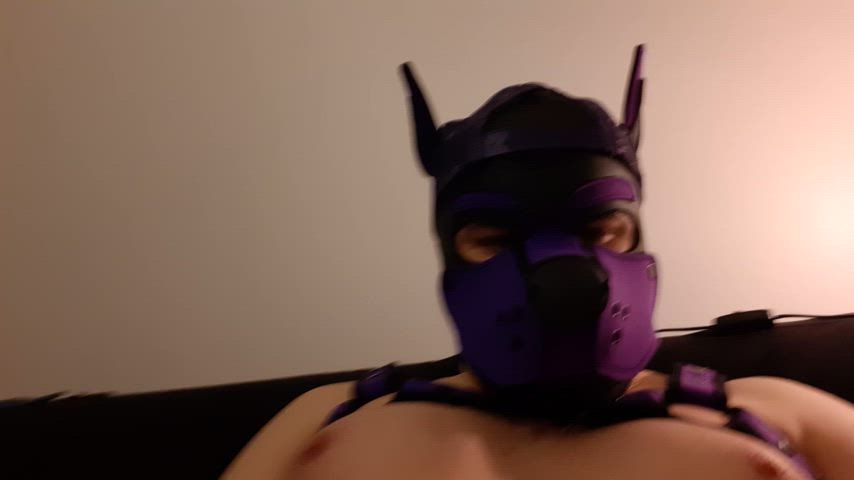 bear cumshot gay harness jock puppy uncut gif