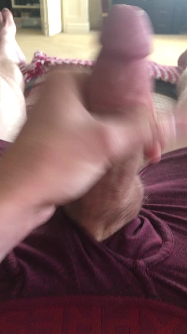 BWC Big Dick POV gif