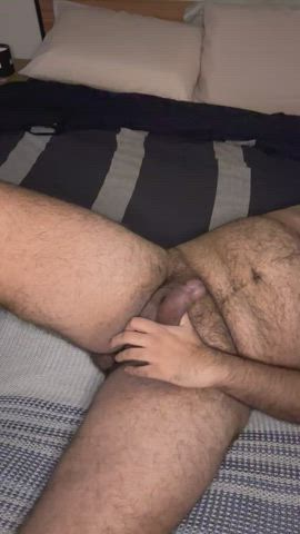 bear cock jerk off gif